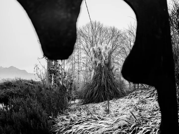 Sagome scure incorniciano un paesaggio in bianco e nero.